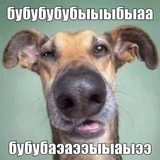 Подарок